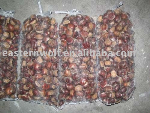  Fresh   Big   Chestnut  from China