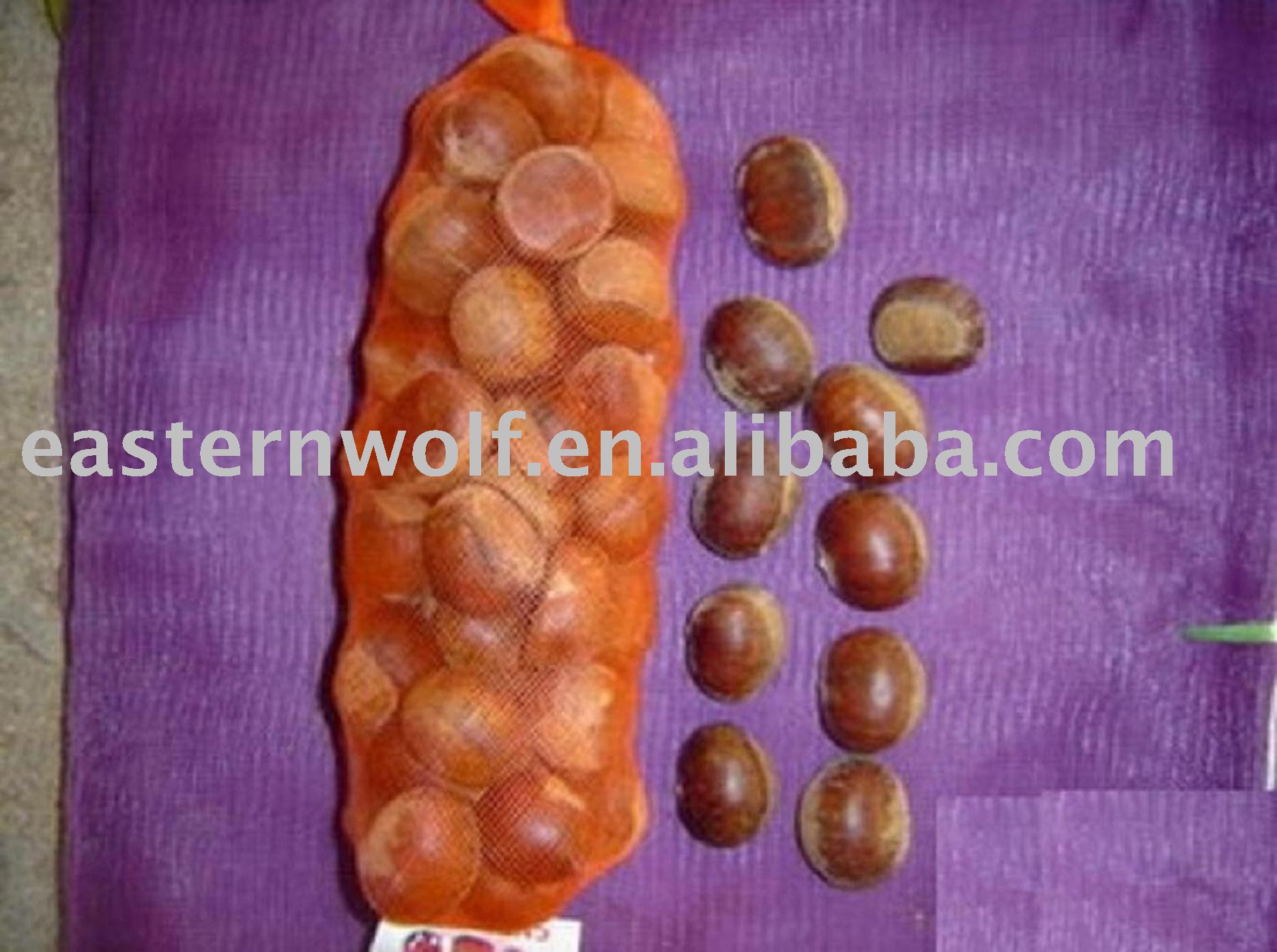 Top Quality Chinese Fresh Chestnut in Gunny Bag