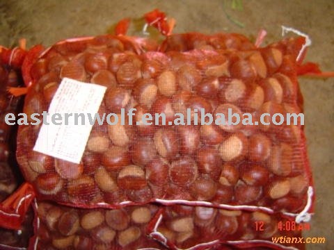 fresh  chestnut  in  shell   in 25kg gunny bag package
