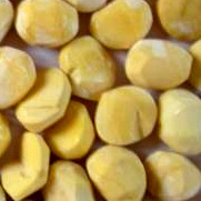 Frozen Knife Cut Chestnut Kernel