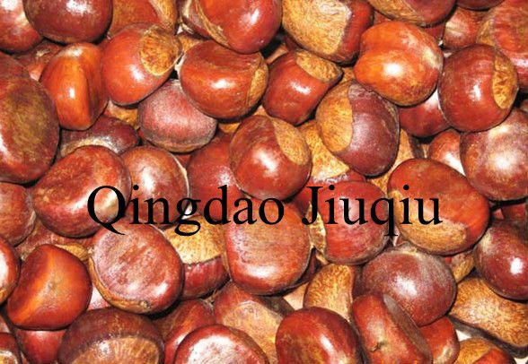 fresh raw chestnut
