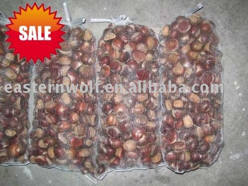 Chinese Chestnut in Gunny Bag Package, MOQ:1*40'FCL, New Crop