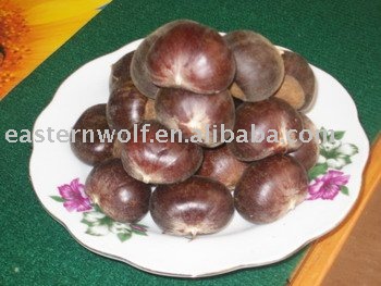 Fresh Chinese chestnut,top quality,new crop