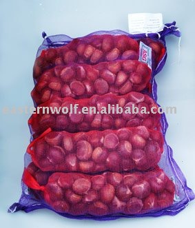 top quality fresh chestnut
