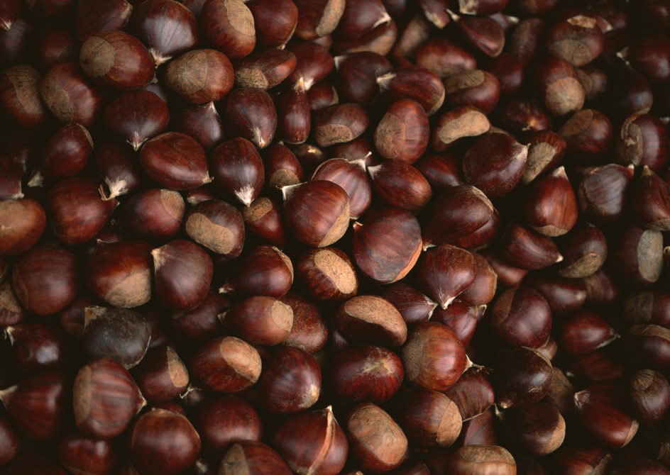 chestnuts