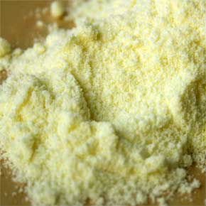 We are bulk exporters of all sorts of  milk products