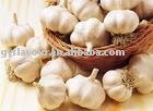 Natural Garlic Oil