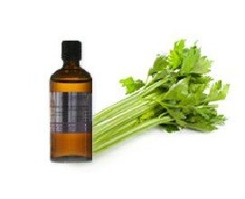 SUPER CRITICAL  FLUID   EXTRACT -CELERY OLEORESIN