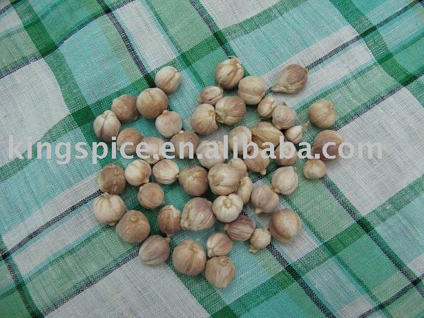 White nutmeg