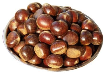 Chestnut