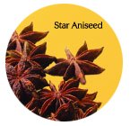 Vietnam Star-aniseed
