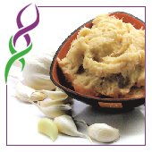 Garlic Paste