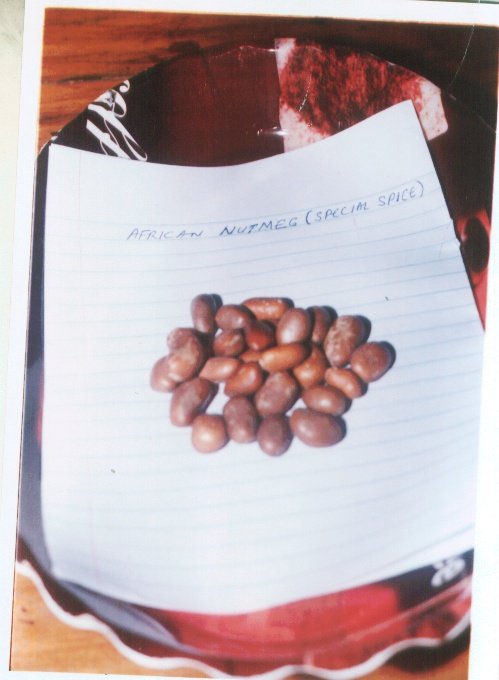 African Nutmeg (Monodora)