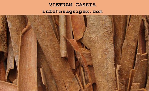 Total kinds of cassia