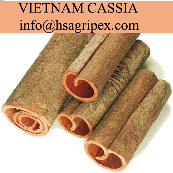 All kinds of cassia