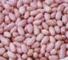 Ground Nuts
