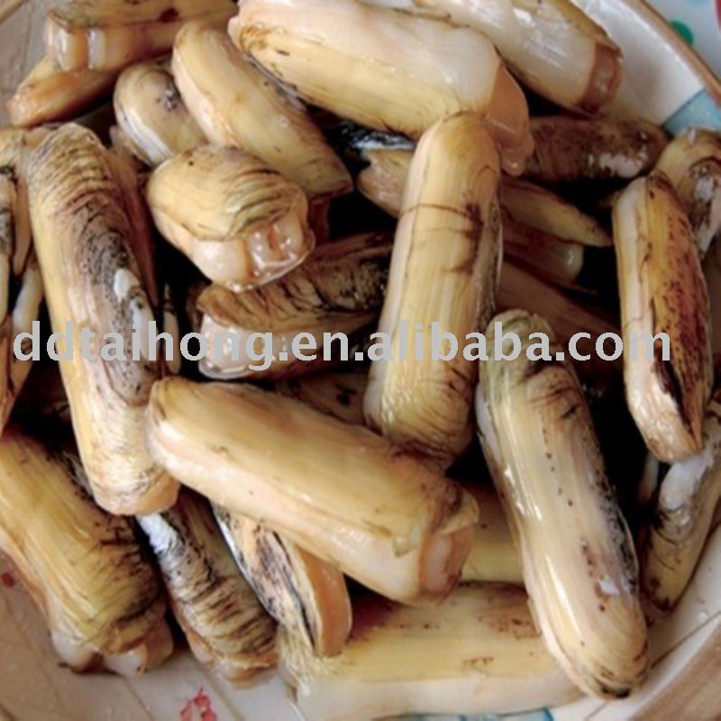 Frozen boilked razor clam meat Snacks