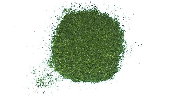 organic green tea/green tea fanning/tea/china tea/chinese tea