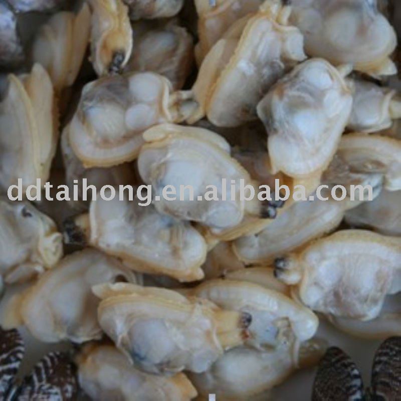 Frozen boiled clam meat snacks
