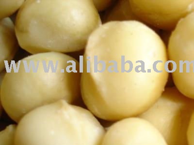 Macadamia Nut for sale