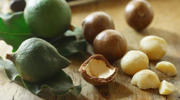 Fresh and Dried Macademias nuts
