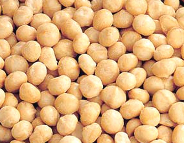  Organic   Macadamia   Nuts 