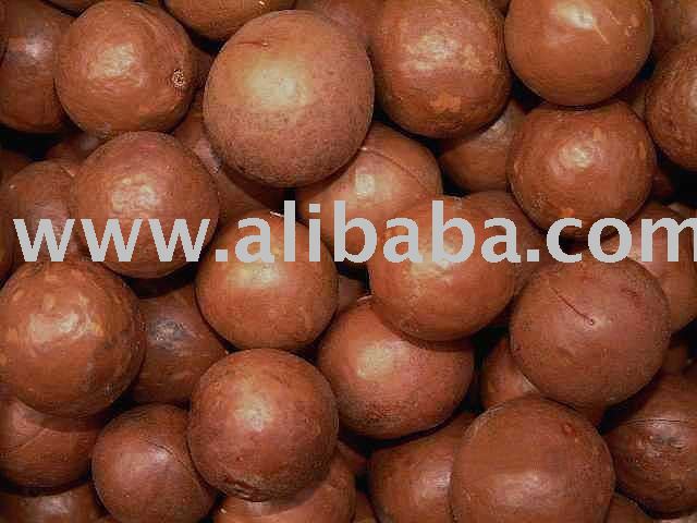 Macadamia Nut