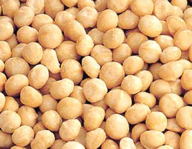 quality macadamia,pistacho and cashew nuts for sale