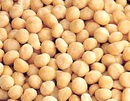 macadamian nuts available