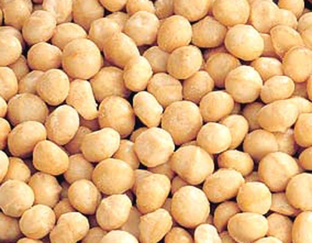 quality macadamia,pistacho and cashew  nuts for sale
