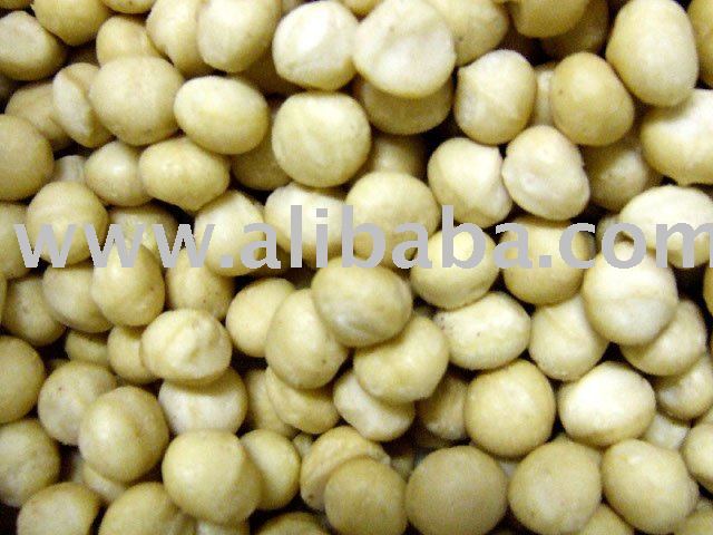 Macadamia Nut