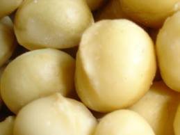 Shelled and unshelled Macadamia Nuts