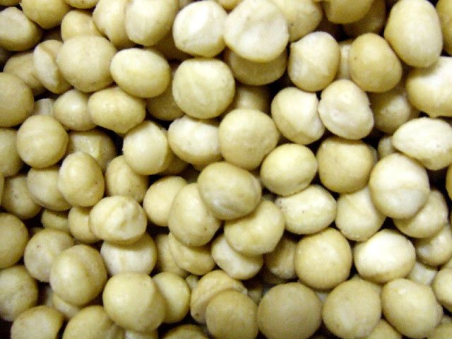 Macadamia Nuts