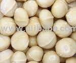 Macadamia Nut