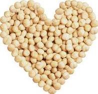 Macadamia Nut