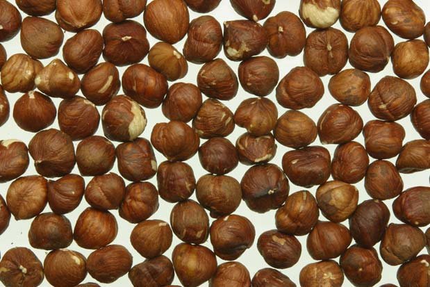 healthy and nutritious macadamia nuts