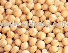 Macadamia Nuts