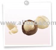 macadamia nut