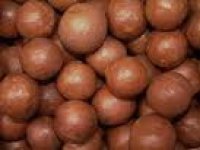 macadamia nuts with shell