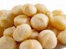  MACADAMIA  NUT
