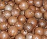 Macadamia Nut for sale