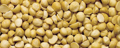 organic macadamia