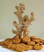  Ginger  Oleoresin