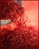 Saffron-Sargol (Allred)