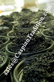 Herring Caviar
