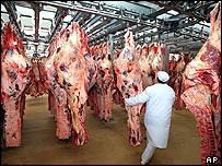 Hallal Fresh  Carcass Cow/ Bull   Meat 