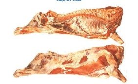 Side of beef