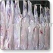 Fresh Halal  Goat   Meat   Carcass 