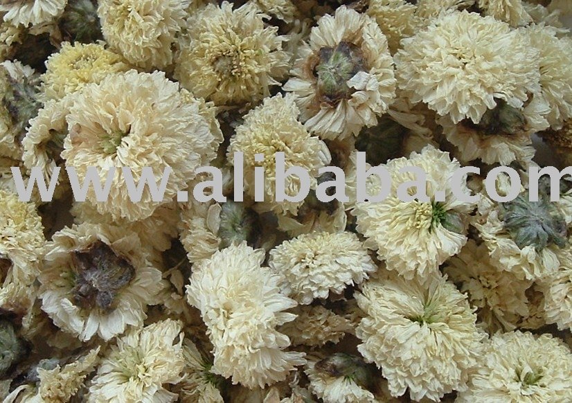  Dried   Chrysanthemum  ( Chrysanthemum  Tea)