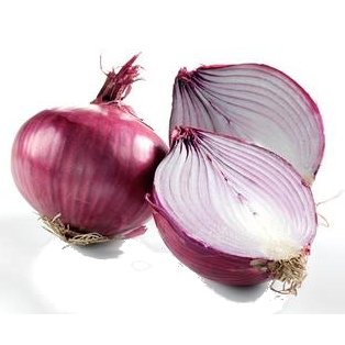 Onion Extract Powder 20 1.
